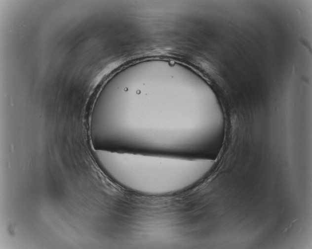 X0000101671308200807101040