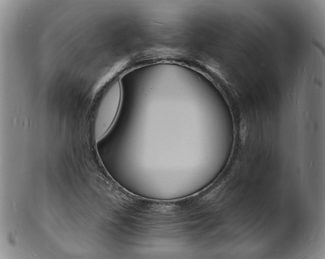 X0000101671309200807101040