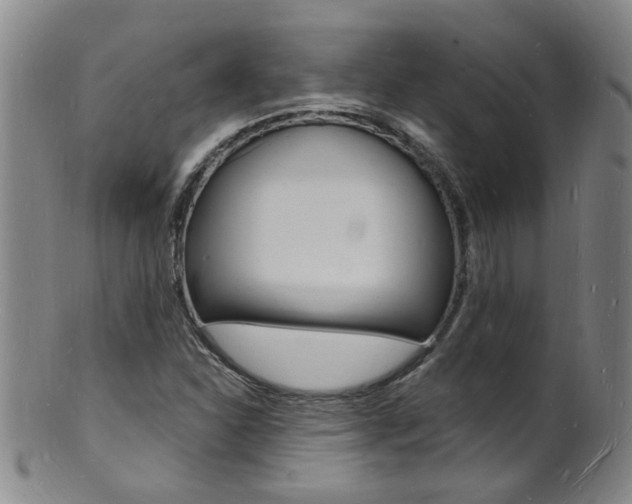 X0000101671310200807101040