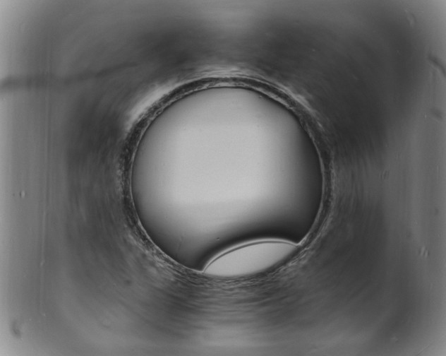 X0000101671311200807101040