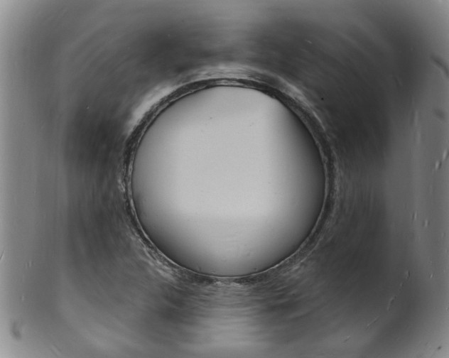 X0000101671312200807101040