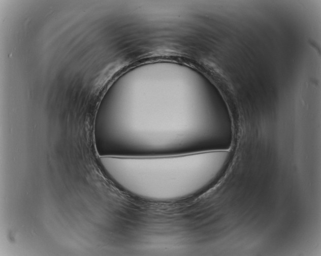 X0000101671313200807101040