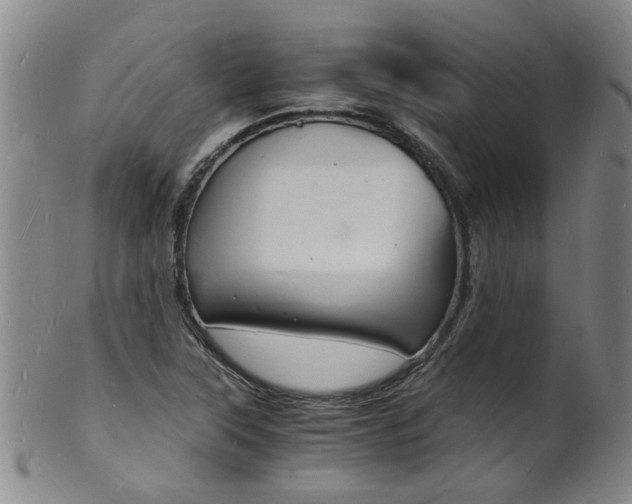 X0000101671315200807101040