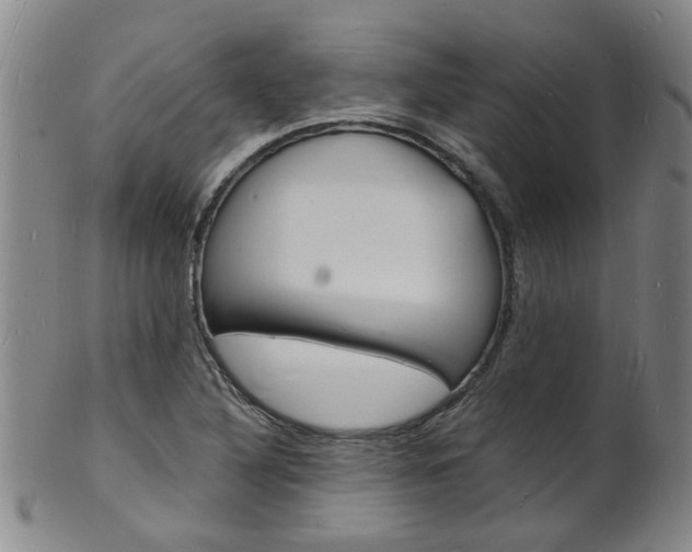 X0000101671316200807101040