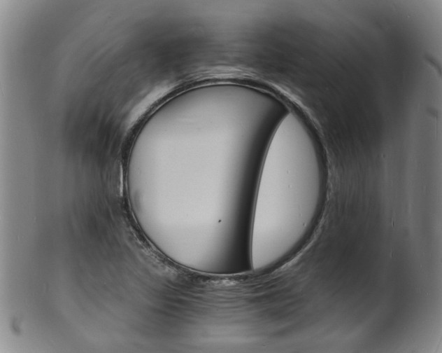 X0000101671317200807101040