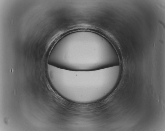 X0000101671318200807101040