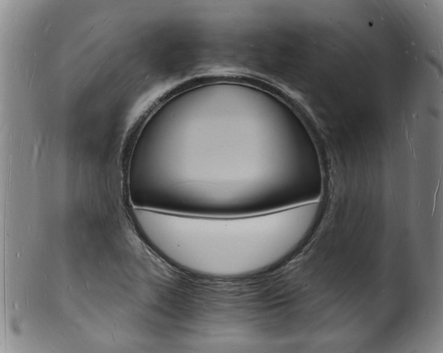 X0000101671319200807101040