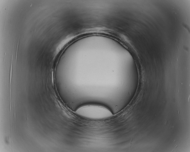 X0000101671320200807101040