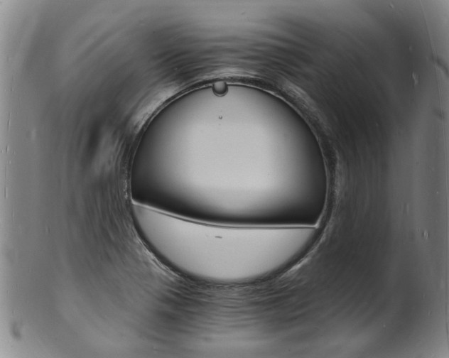 X0000101671321200807101040