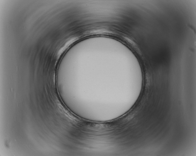 X0000101671322200807101040