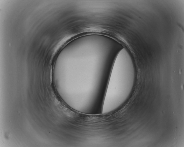 X0000101671323200807101040