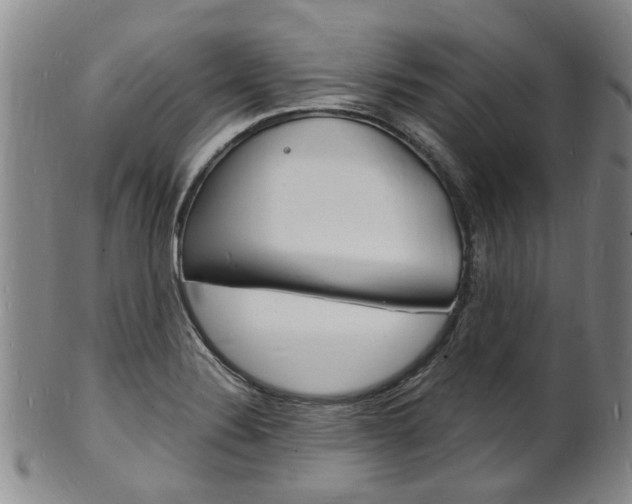 X0000101671324200807101040