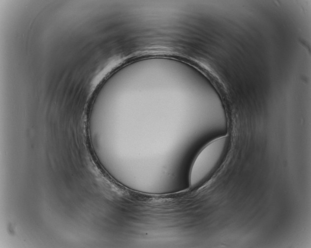 X0000101671325200807101040