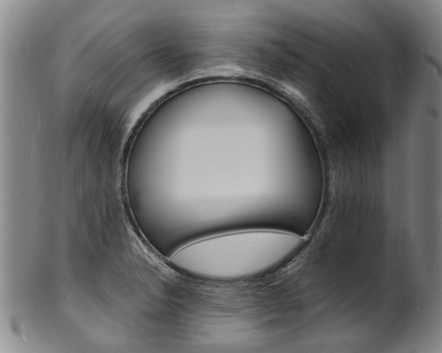 X0000101671326200807101040