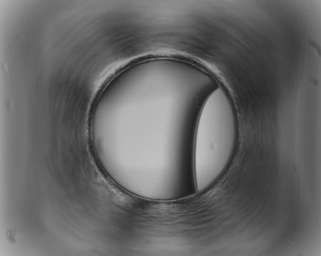X0000101671327200807101040