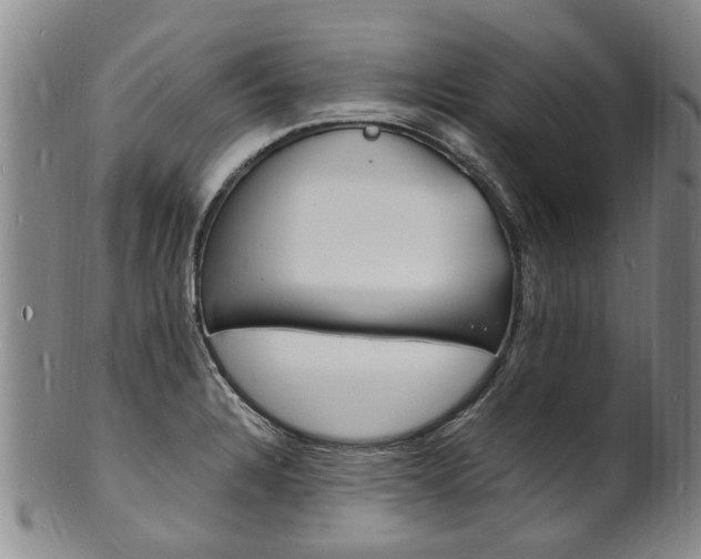 X0000101671328200807101040