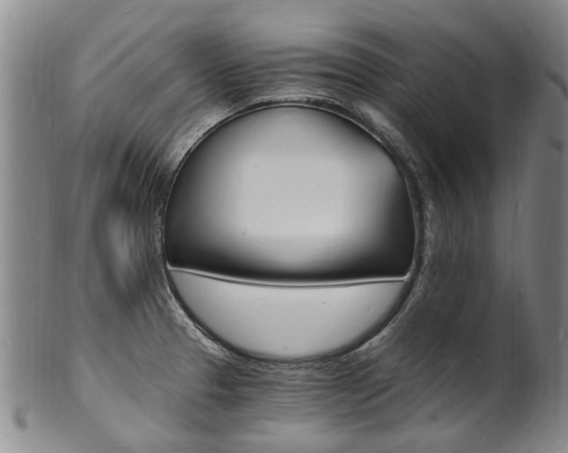X0000101671329200807101040