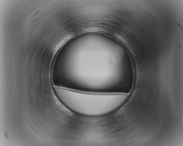 X0000101671330200807101040