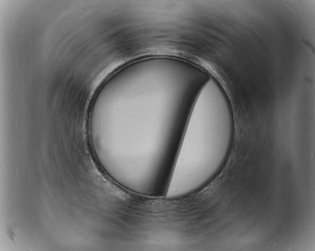 X0000101671331200807101040