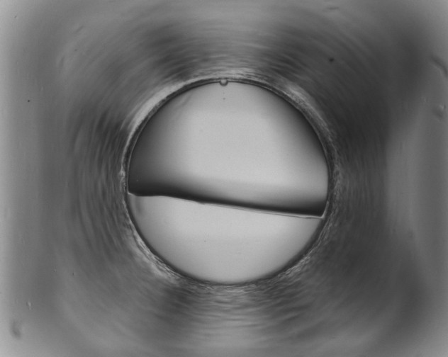 X0000101671332200807101040