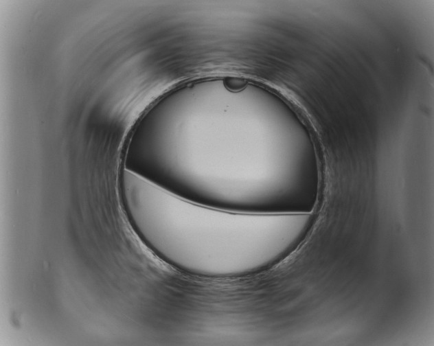 X0000101671333200807101040