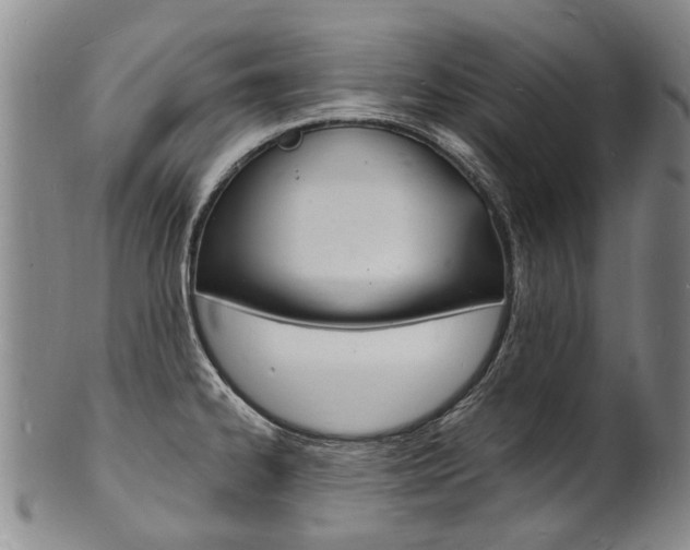 X0000101671334200807101040