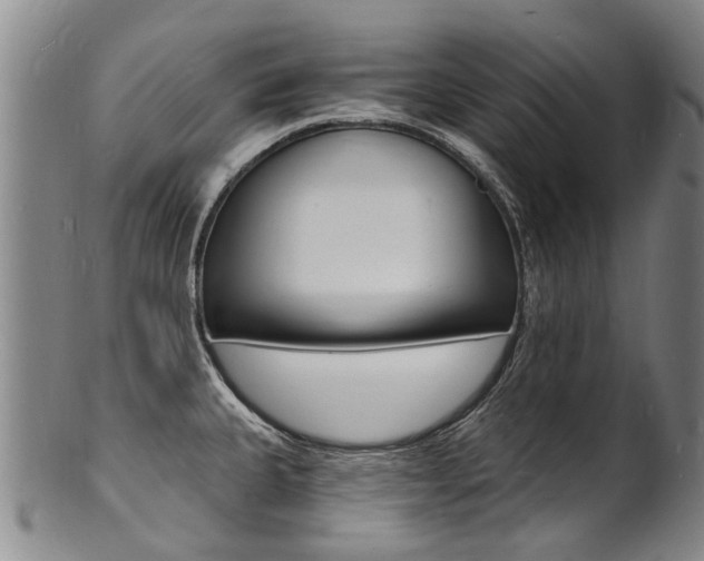 X0000101671335200807101040
