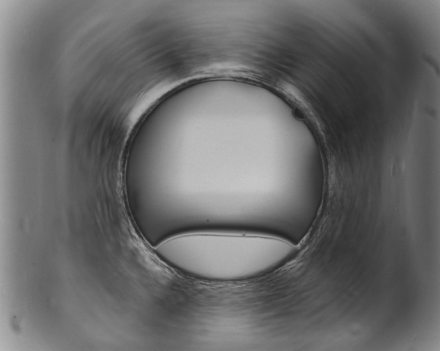 X0000101671336200807101040