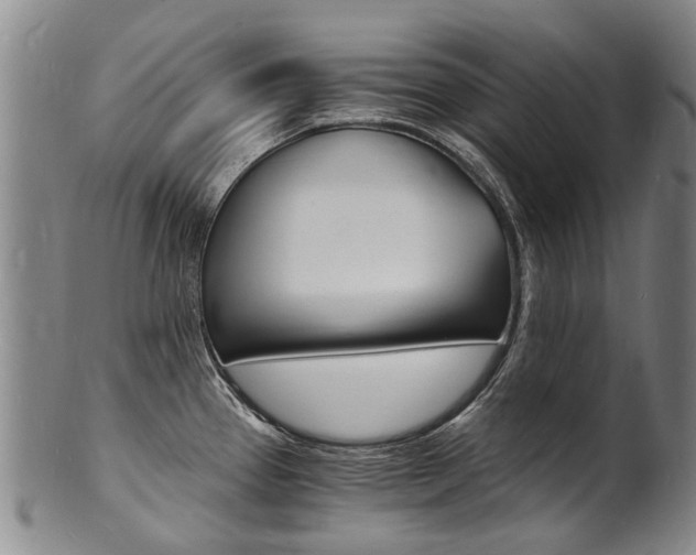 X0000101671337200807101040
