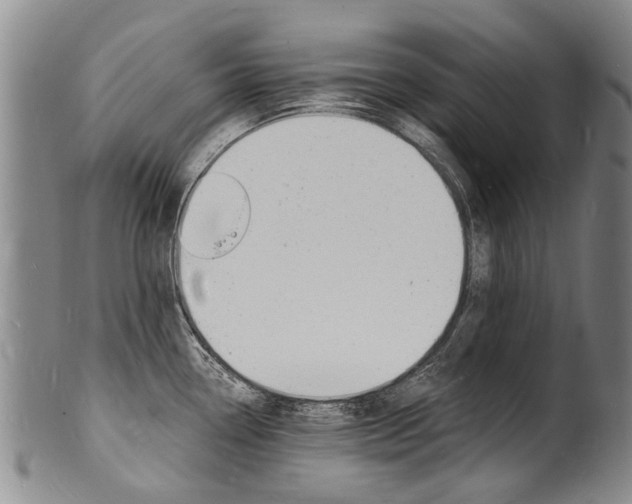 X0000101671338200807101040