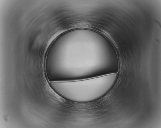X0000101671339200807101040