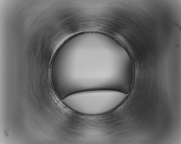 X0000101671340200807101040