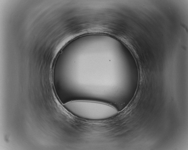 X0000101671342200807101040