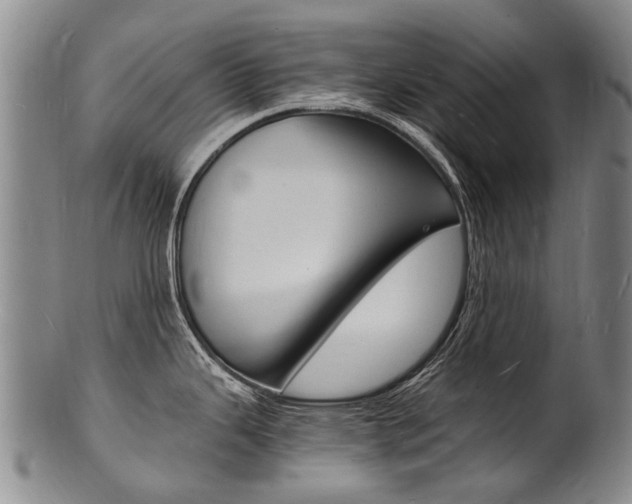 X0000101671343200807101040