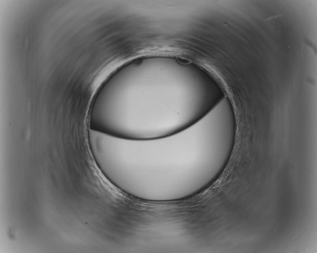 X0000101671344200807101040
