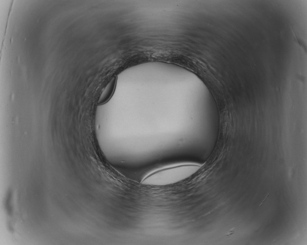 X0000101671345200807101039