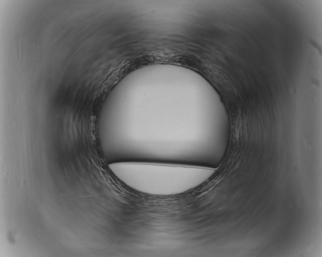 X0000101671346200807101039