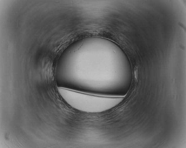 X0000101671347200807101039
