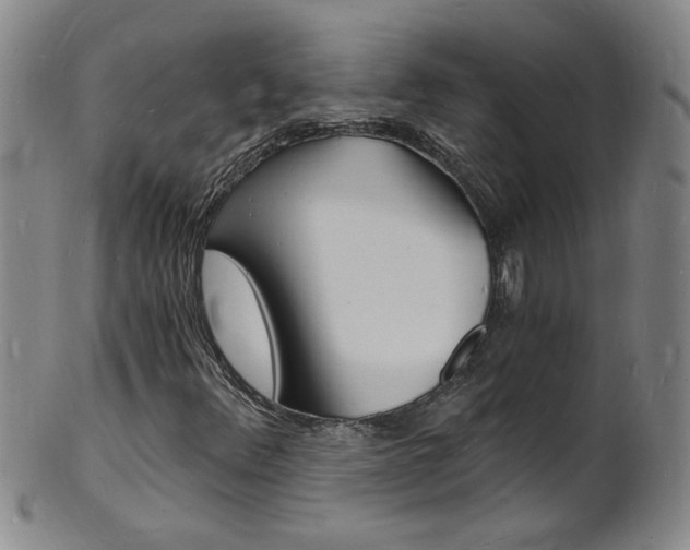 X0000101671348200807101039