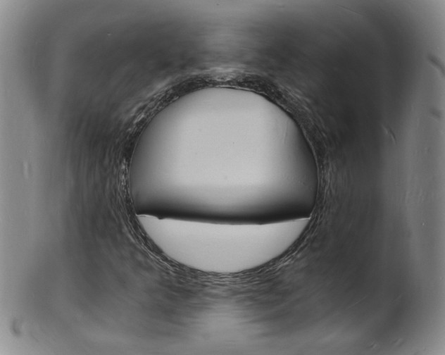 X0000101671349200807101039