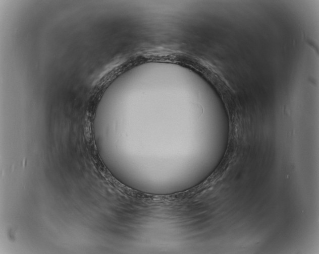 X0000101671350200807101039