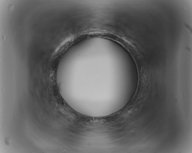 X0000101671351200807101039