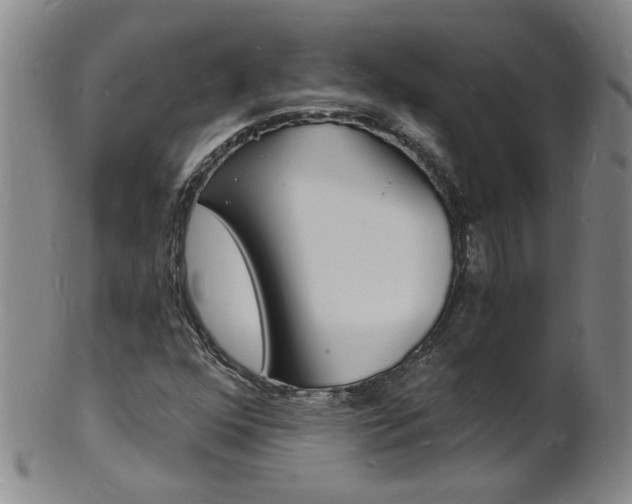 X0000101671352200807101039