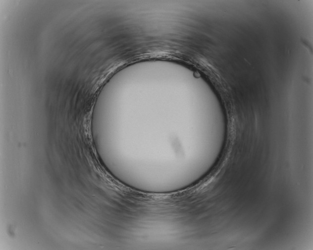 X0000101671353200807101039