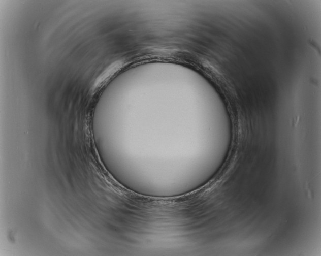 X0000101671354200807101039