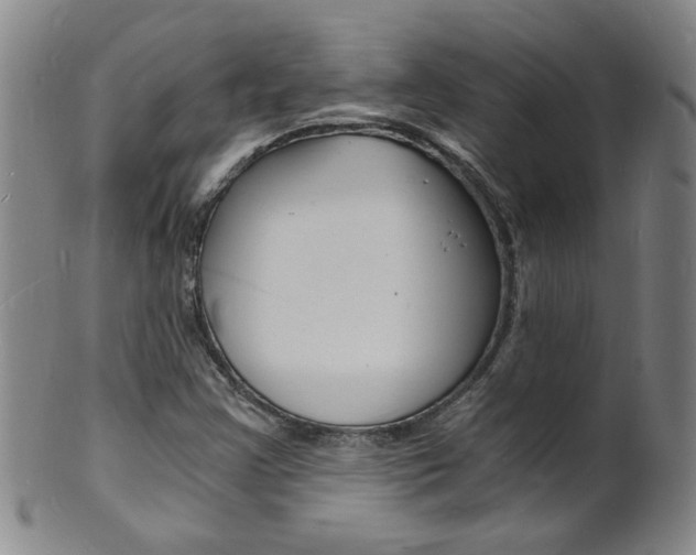 X0000101671355200807101039