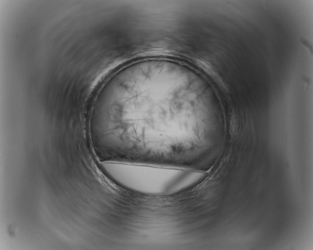 X0000101671356200807101039
