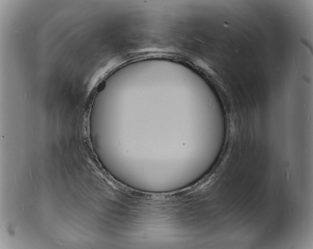 X0000101671357200807101039