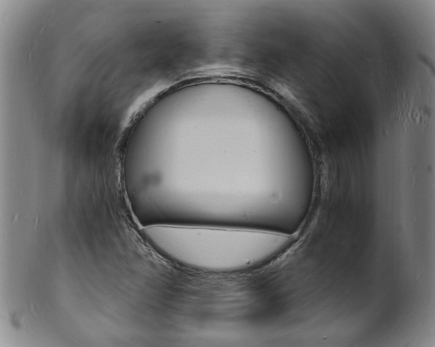 X0000101671358200807101039
