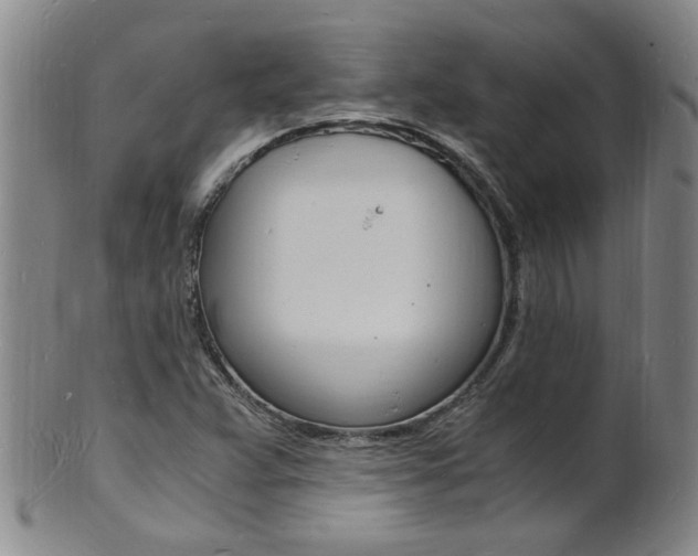 X0000101671359200807101039